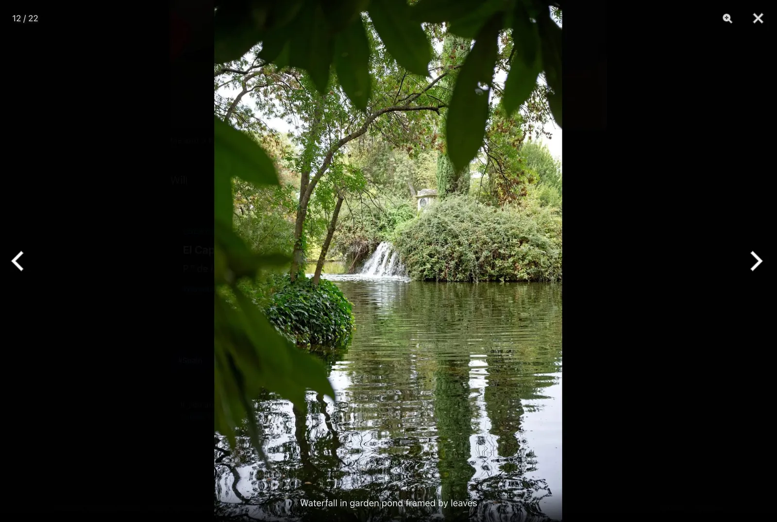 Visor de fotos a pantalla completa mostrando una cascada en un estanque de jardín enmarcada por hojas